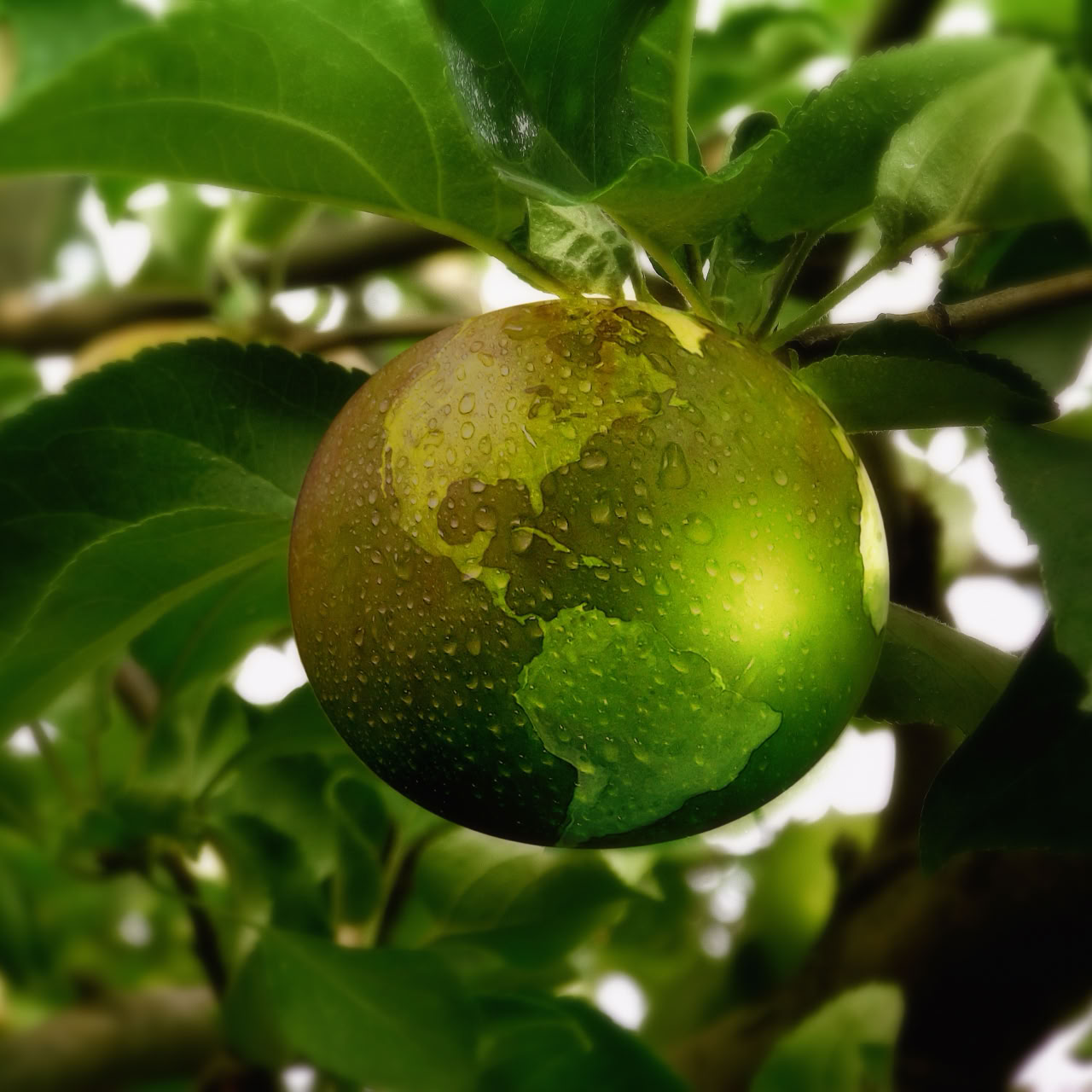 Damit "grün" gelingen kann, braucht es eine Zeitenwende in der Industrie